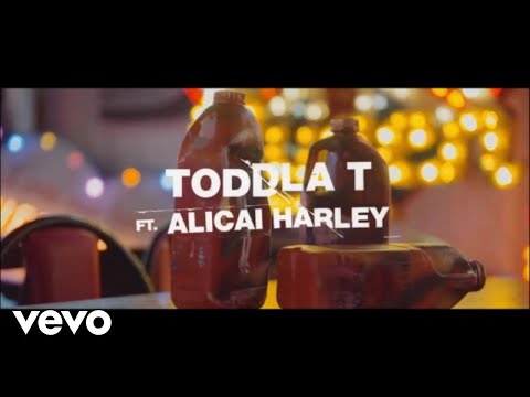 Toddla T - Instruction (Gallong Gal) ft. Alicai Harley