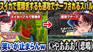 【ホロ金策サバイバル】友情よりも金を選びスイカドリームで荒稼ぎするも速攻でスイカがナーフされ畑の悲しき獣になるスバルｗ【ホロライブ切り抜き/大空スバル】