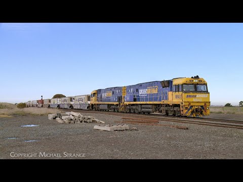 6MP4 Pacific National TOLL Container Train With Diesel Locomotives NR43  NR118 (4/7/2025) - PoathTV