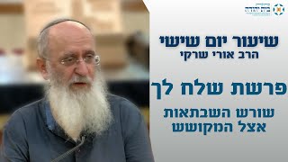 שלח לך | שורש השבתאות אצל המקושש