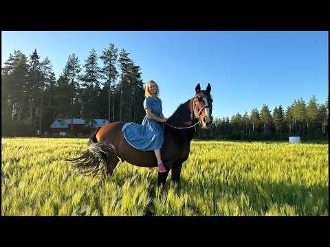 Hieho tippui lietesäiliöön ja hevos-spesiaali