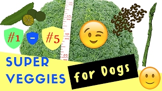 #1 - #5 Super Veggies for Dogs (20 Top Veggies)
