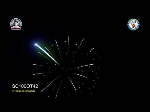 SC100OT42 - wizard display shell - platinum list