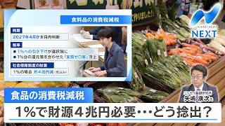 食品の消費税減税 1％で財源4兆円必要…どう捻出？【NIKKEI NEWS NEXT】