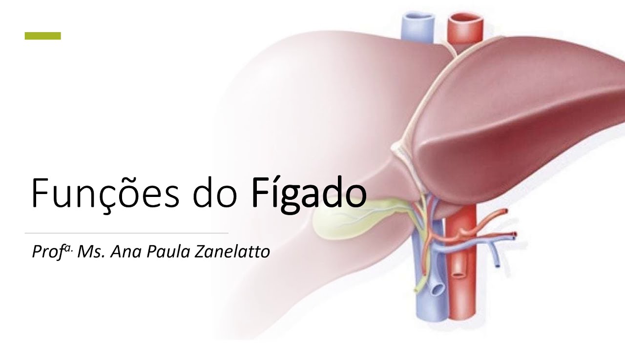 Funções do Fígado