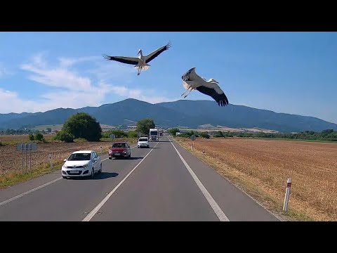 zážitky z ciest č.54 - prestáva ma to tu baviť