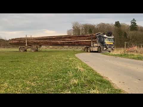 Mit dem Langholz Lkw einmal über die Wiese