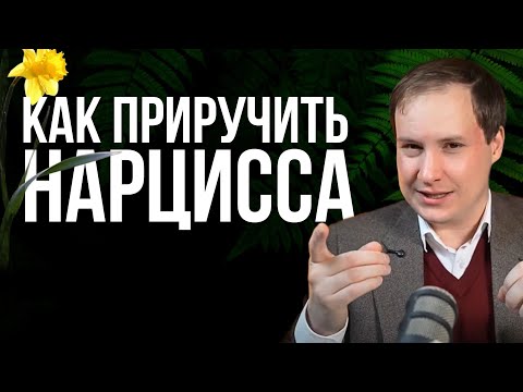 Как управлять НАРЦИССОМ? Эти 2 метода изменят вашу жизнь!