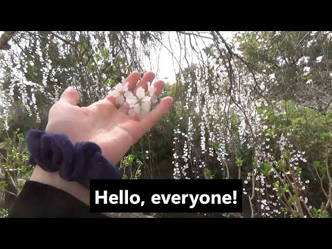 高松わくわくイングリッシュ【仏生山公園編】