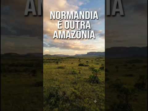 NORMANDIA É OUTRA AMAZÔNIA