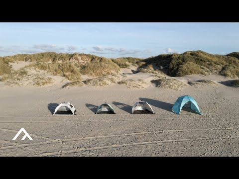 qeedo | Strandmuscheln. Unsere Strandmuscheln im Überblick - Tutorial
