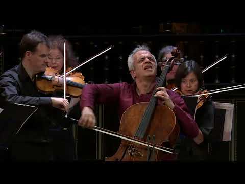 Smells Like Teen Spirit (Nirvana) | Giovanni Sollima & Amsterdam Sinfonietta