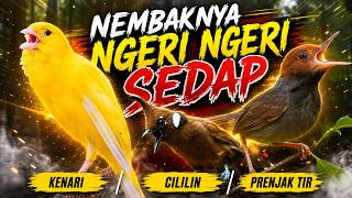 Download lagu MASTERAN AMPUH CEPAT NYAUT PRENJAK TIR SAMBUNG CILILIN KENARI mp3