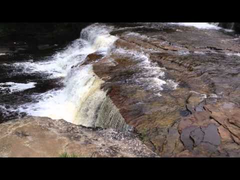 Moment of Zen: Lower Tahquamenon Falls, Michigan - 4:03 PM July 30, 2014