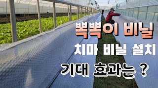 뽁뽁이 비닐하우스 어떤 효과가  ? 농막 보온덮게 대용으로 최고  주)비비스