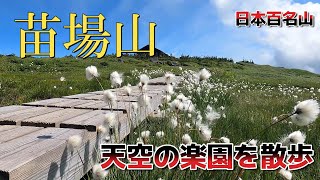 【苗場山】天空の楽園トレッキング