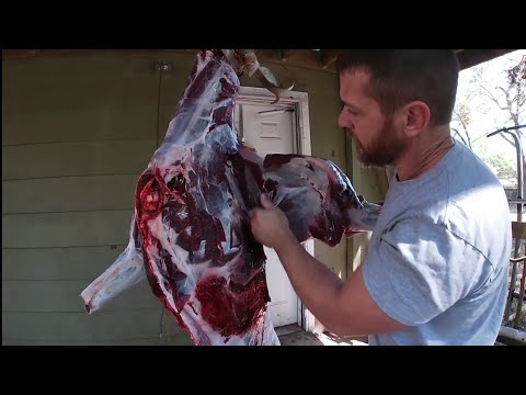 Processing a Deer at Home ... How to skin and quarter a deer