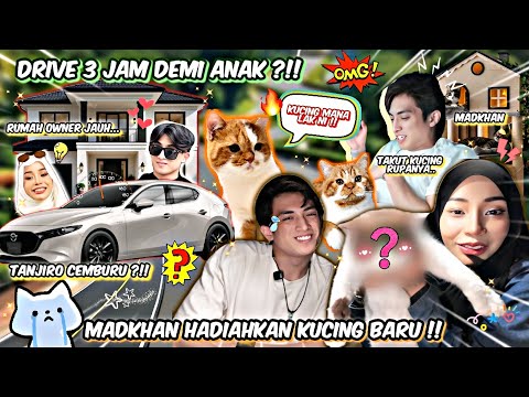 MADKHAN BAYARKAN HARGA KUCING ASSLAH?! DRIVE 3 JAM DEMI KUCING BARU, FINALLY TANJIRO DAH ADA ADIK !!