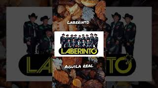 Laberinto-Aguila real