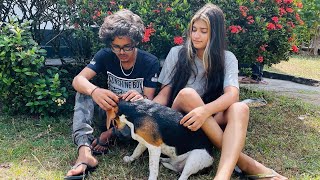 Mini vlog #06🧞‍♂️ #rdv_smith_ #rdvirajmadushan #rdv_mini_vlogs