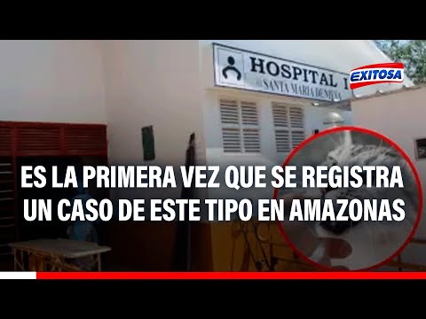 🔴🔵Amazonas: es la primera vez que se registra un caso de rabia por mordedura de gato en Condorcanqui