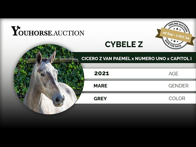 Cybele Z