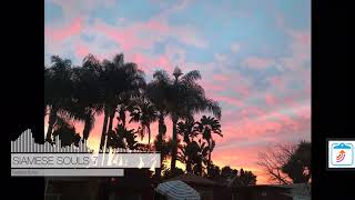 SIAMESE SOULS 7 SEVENTH SOUL SON