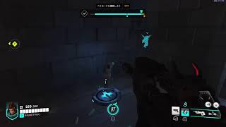 Overwatch　パッション