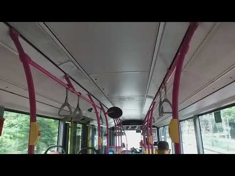 SBS Transit: Ride Onboard [SBS6151J] On Service 33