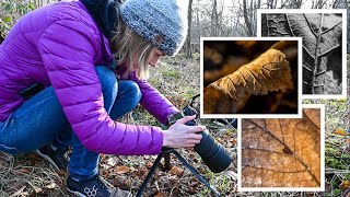 Who Knew PHOTOGRAPHING LEAVES Could Be SO MUCH FUN!?