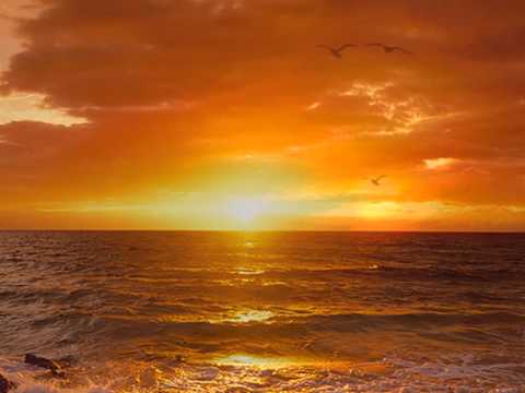 Słowa...Galicja i Lidia Jazgar