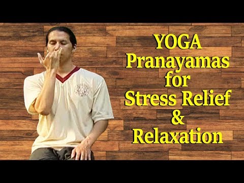 Yoga for Beginners | Breathing Exercises for Stress Relief and Relaxation | Beginners Pranayama