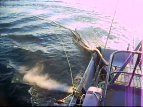 COLAKOGLU GIRGIR MOLA