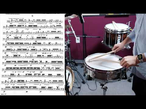 Portraits In Rhythm CIRONE SNARE DRUM NO.6