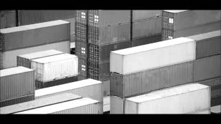 Terrence Dixon - Electronic Wildlife - Background