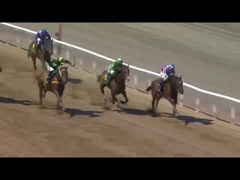 2021.06.06 Voterlöpning (SWE) - Wolfof Vancouver