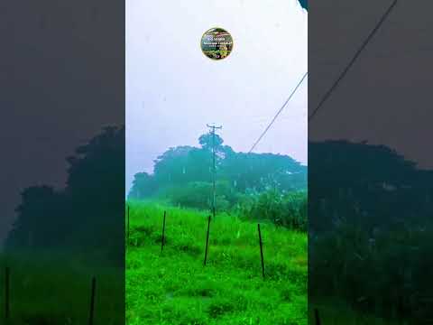 Río Negro aldea La Laguna  Municipio Córdoba