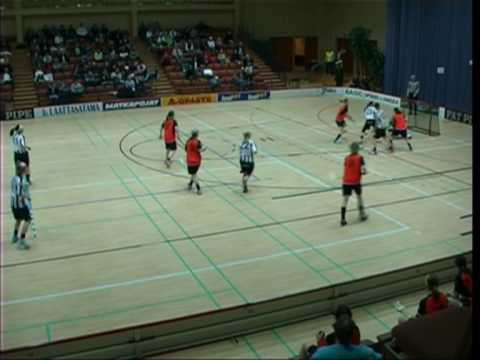 Maalikooste TPS naiset liigakarsinta 2007