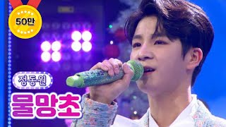 정동원 - 물망초