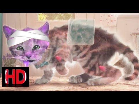 Fun Kitten Care - Pet Costume Dress-Up Party - Little Kitten Adventures - Cartoon Games For Children