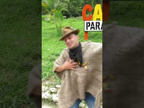 visitando los cafetales en árboledas norte de Santander donde se produce el mejor cafe