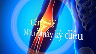 Cẳng tay - một cỗ máy kỳ diệu