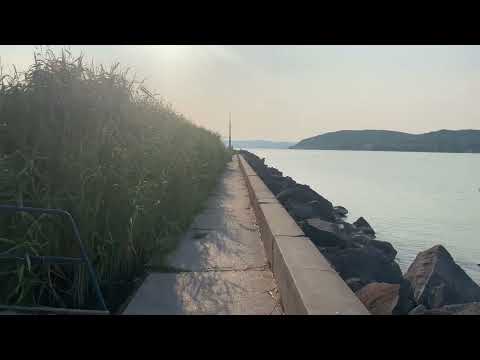 Balaton, nádas, Szántód-rév