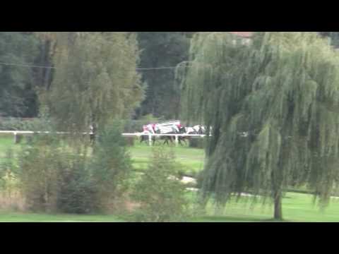 KV, 28. 9. 2016, 8. dostih - Cena Hipodrom Holoubek