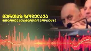 სასახლის ღობის ამბავი თავდაყირა დგება