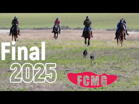 Fase final Federación Castilla la Mancha Galgos Diciembre 2025