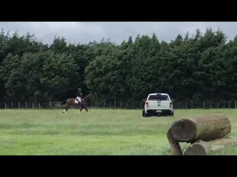 Shanghai cross country at wairarapa event CN80