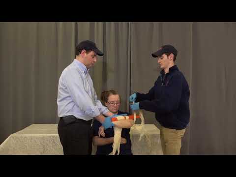 Joint Injury Immobilization