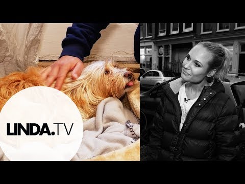 Kimberley Klaver gaat langs bij Géza Weisz en z'n hond Sjaantje || LINDA.