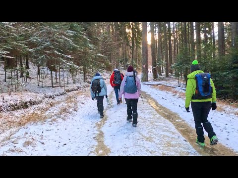 Trail from Bușteni to Culmea Zamora | For hiking enthusiasts